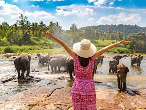 Paisaje natural exuberante en Sri Lanka