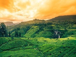 Vista panorámica de un paisaje exótico en Sri Lanka con vegetación y templos