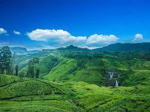 Paisaje Natural en Sri Lanka con Montañas y Vegetación Exuberante