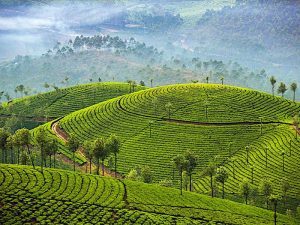 Vista Panorámica de la Belleza Natural en Sri Lanka