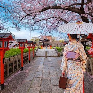 Vista panorámica de Japón con paisajes impresionantes