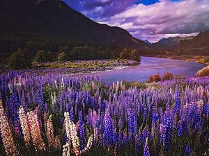 Crucero por los lagos de la Patagonia rodeado de montañas