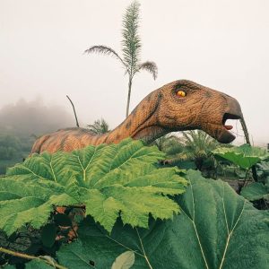 DinoLand + tobogán de colores